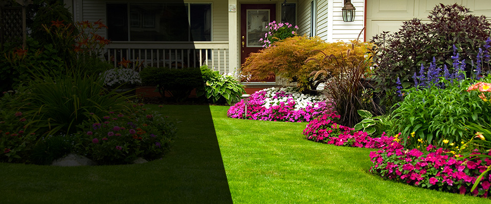 Saint Paris Landscapers