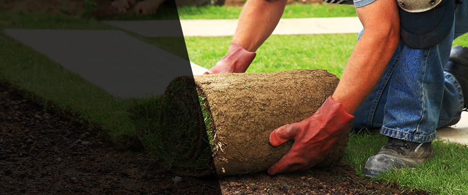 Saint Paris Landscapers
